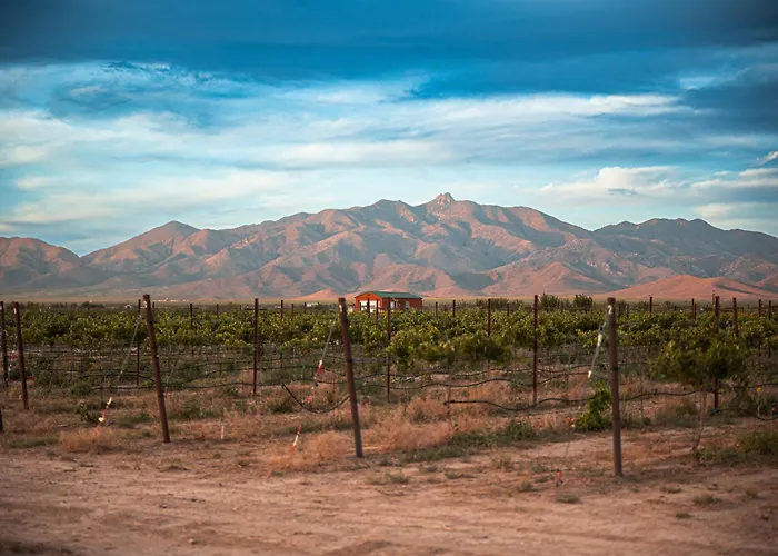 Farm stay Casa Barbera At Tirrito Farm