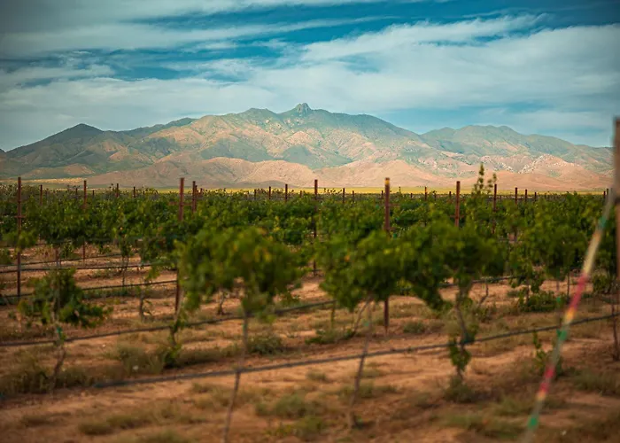 Casa Barbera At Tirrito Farm Willcox